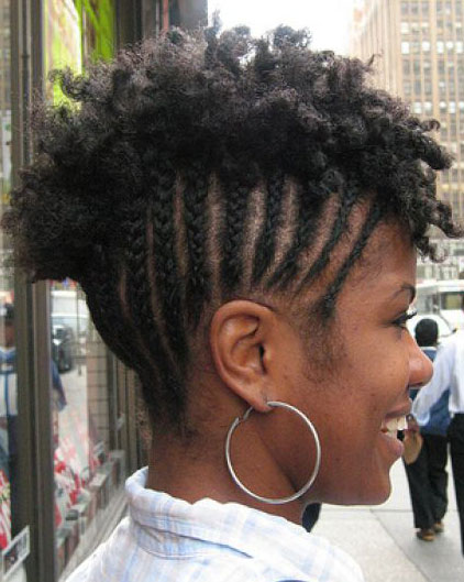 braided hairstyles black hair. Pictures Of Black Hair Braid