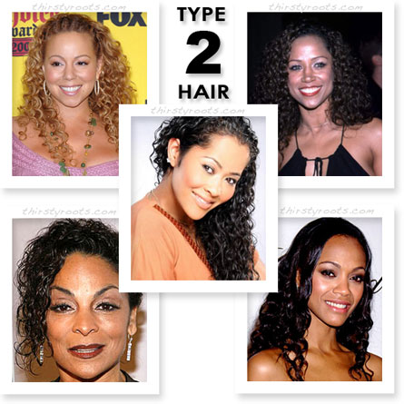 Types Hair on Black Hair Types   Thirstyroots Com  Black Hairstyles And Hair Care