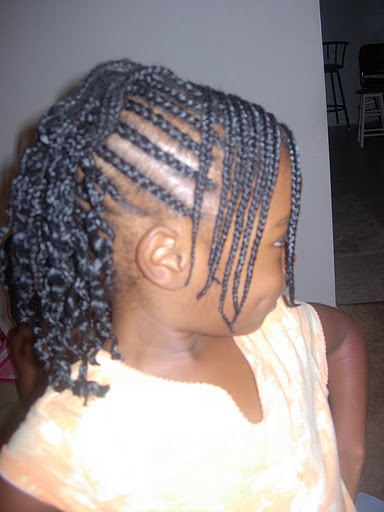 braided hairstyle African American little girls