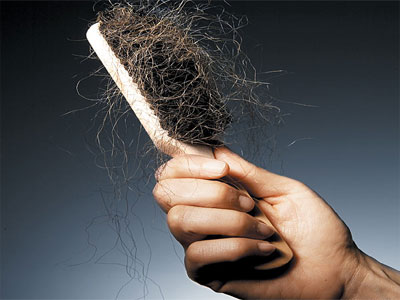 Image result for hair shedding