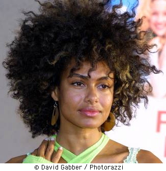 Short Black Dress on Curly Hairstyles For Black Women   Thirstyroots Com  Black Hairstyles