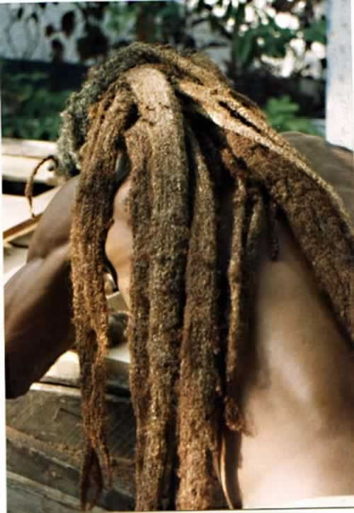 African American Dreadlock Hair Styles Dreadlocks3 