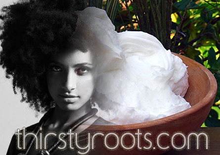 Natural Hair Care Products on Natural Hair Product Recipes   Thirstyroots Com  Black Hairstyles And