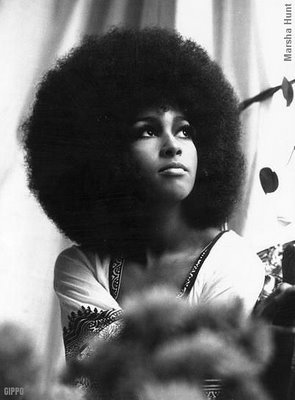 Afro Hair Cuts on Afro Hair Grow Long  1970 Afro Hairstyle     Thirstyroots Com  Black