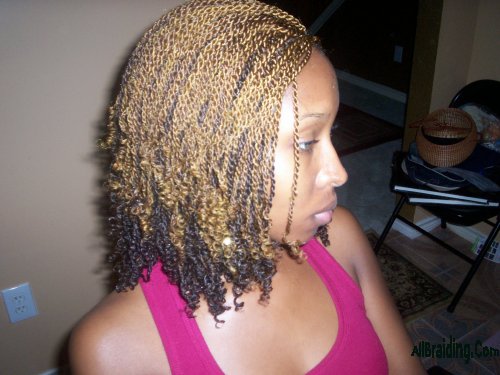 Some nice example pictures of braids kinky twist on black women with a ...