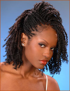 Two Strand Twist Braids Hairstyles Two Strand Twist Braids Hairstyles