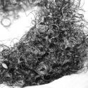10 Things That Cause Hair Shedding 10 Things That Cause Hair Shedding