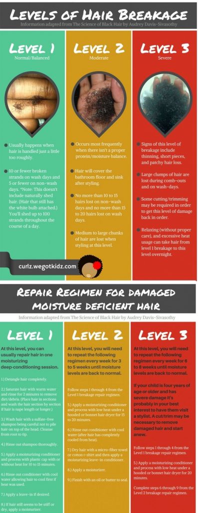 Damaged Hair - Repair Regimen for Moisture Deficiency
