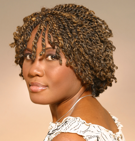 Two Strand Twists With Extensions 4 - thirstyroots.com: Black Hairstyles
