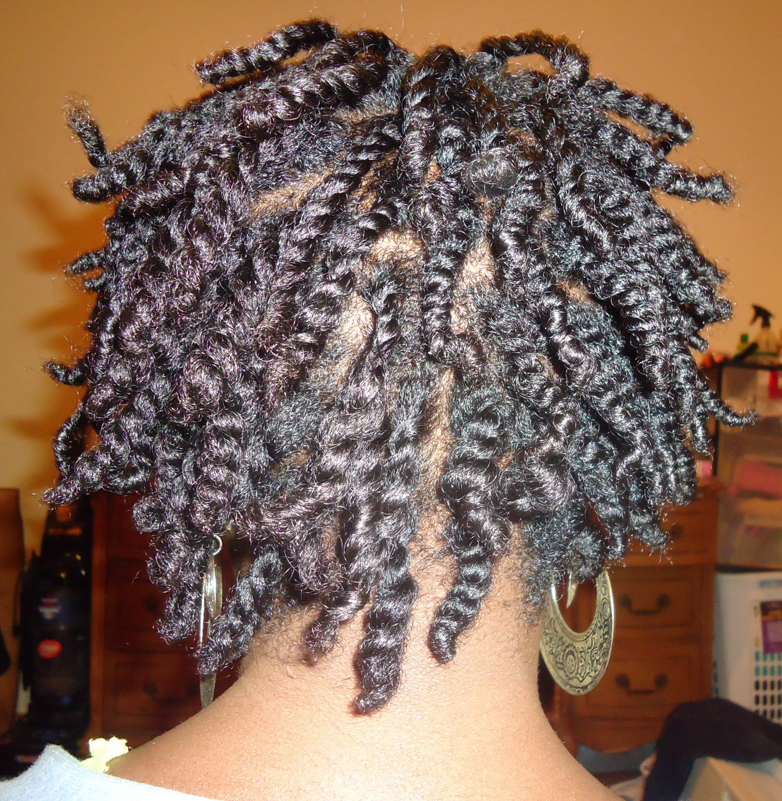 two-strand-twist-back - thirstyroots.com: Black Hairstyles