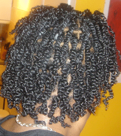 two-strand-twist - thirstyroots.com: Black Hairstyles