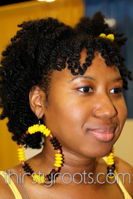 Natural Hair Twist Pictures
