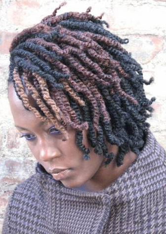 Two Toned Nubian twists braided hairstyle - front 
