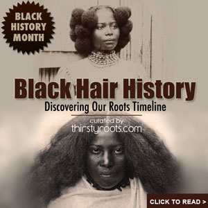 african-american-hair-black-history-month-300x300 - thirstyroots.com ...