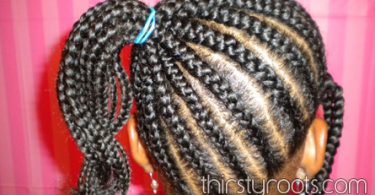African American Braided Hairstyle Girls