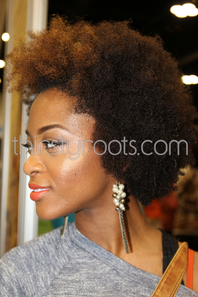 African American Natural Afro Hair