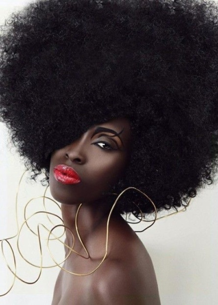 Black Hairstyles Afro
