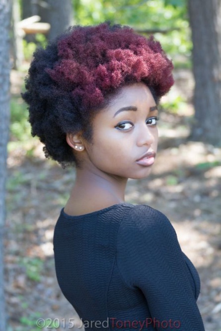 Black Natural Hairstyles Afro