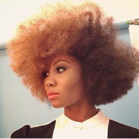 Natural Afro Hairstyles for Black Women To Wear