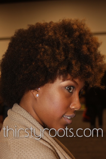 Kinky Curly Natural Afro