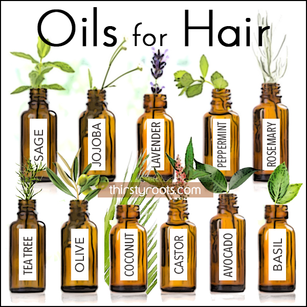 Oils for African American Hair and Scalp Care that Promotes Healthy Hair