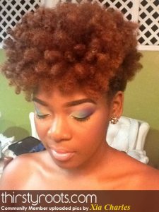 twist out on natural hair