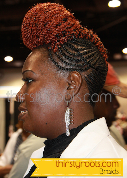 Braided-Hairstyles-Black-Women-2014-8