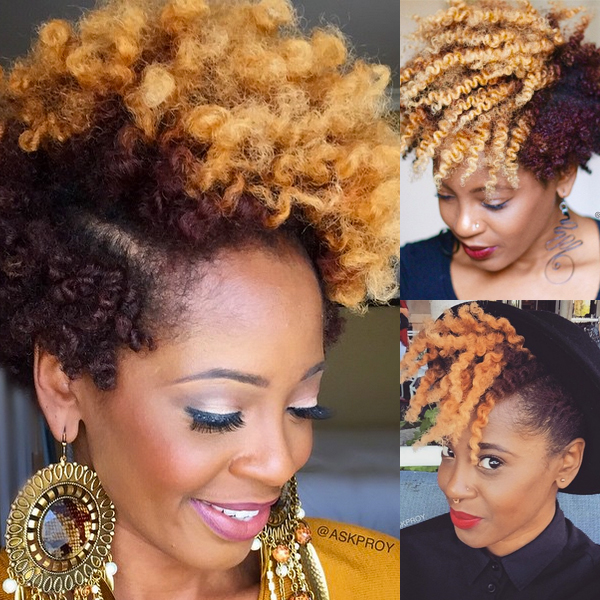 Two Toned Two Strand Twist Out