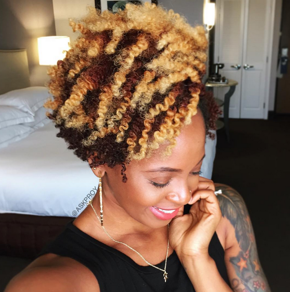 two-strand-twists-out-with-dirty-blonde-color