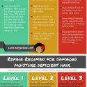 Damaged Hair – Repair Regimen for Moisture Deficiency